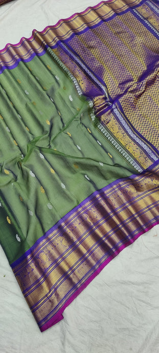 Gadwal Pure Sico self border 01 - _greenwithblue - GadwalHandloom